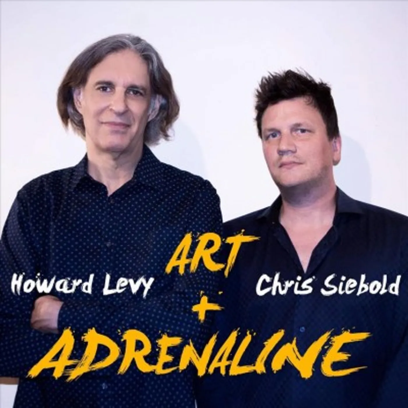 Howard Levy Art + Adrenaline CD