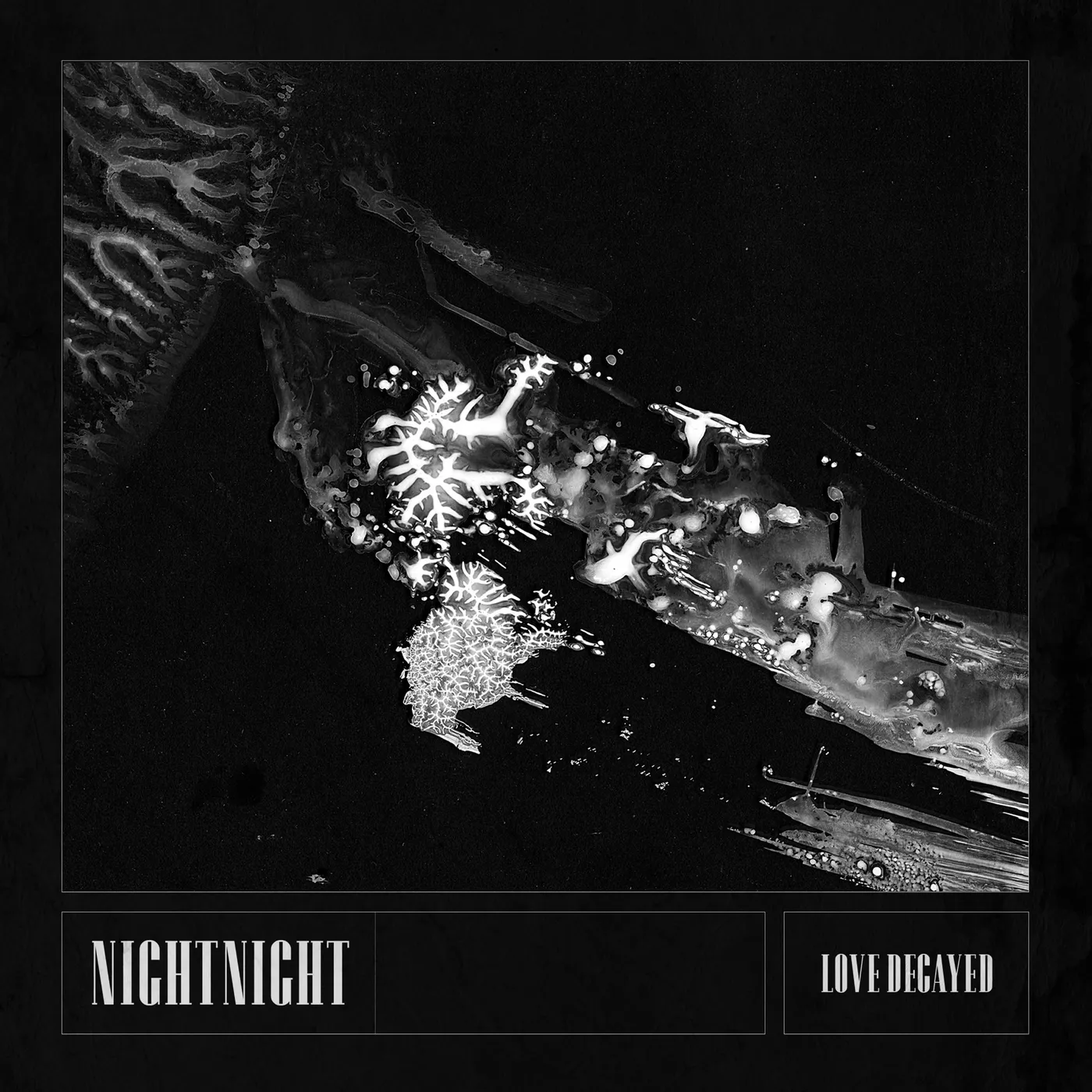 NightNight Love Decayed CD