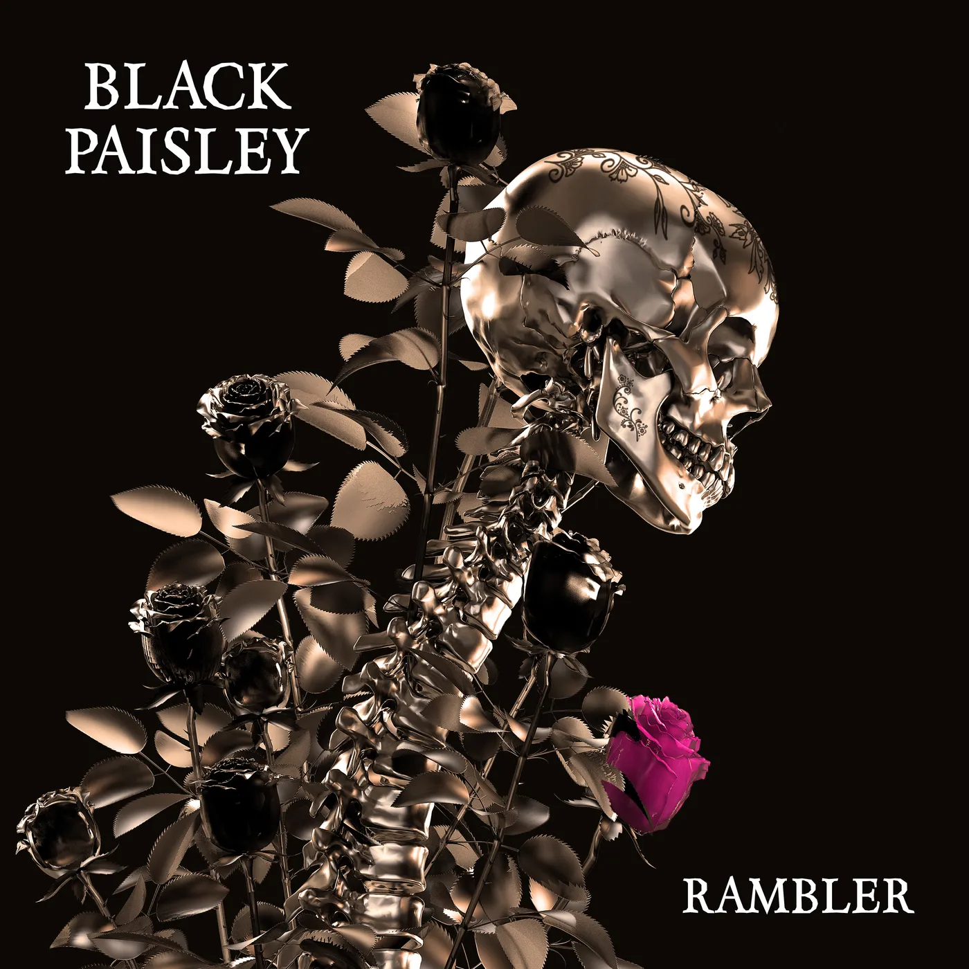 Black Paisley Rambler CD