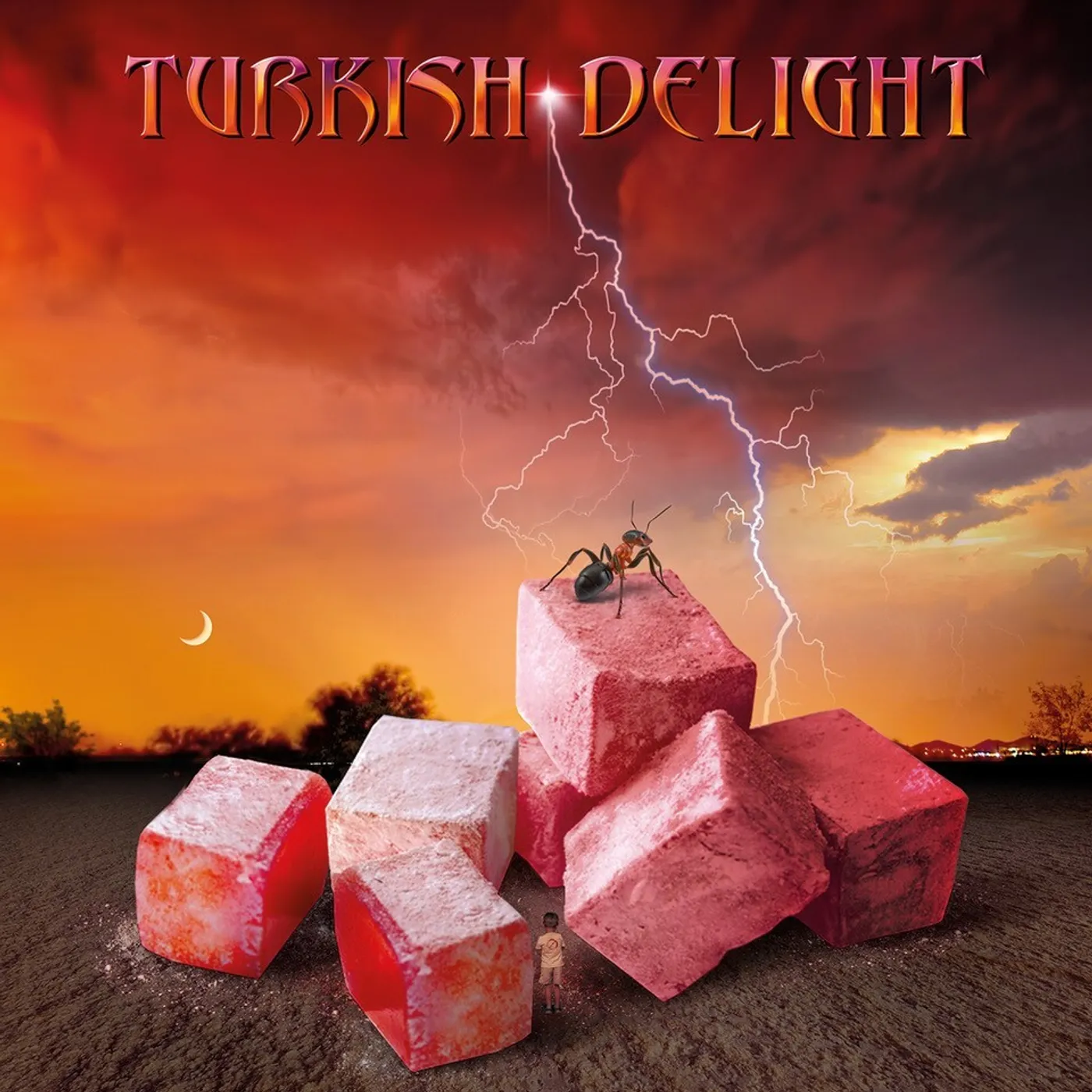 TURKISH DELIGHT Volume One CD