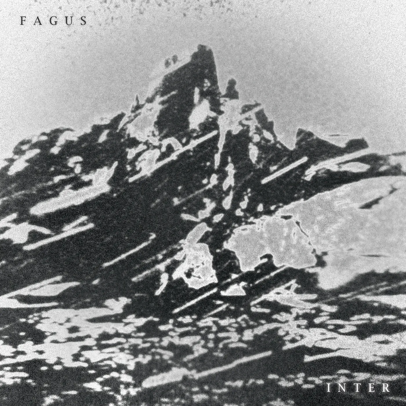 Fagus Inter CD