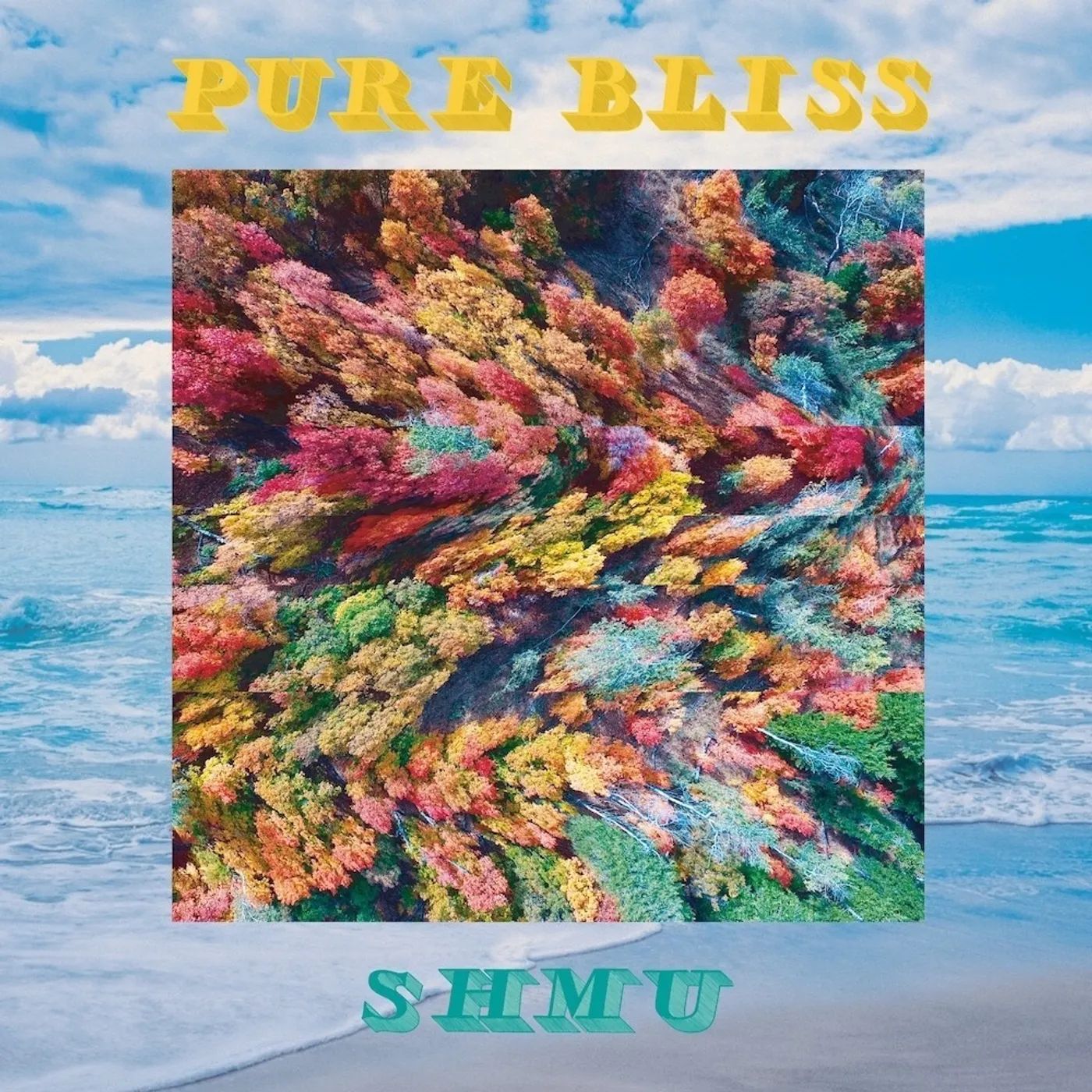 Shmu Pure Bliss CD