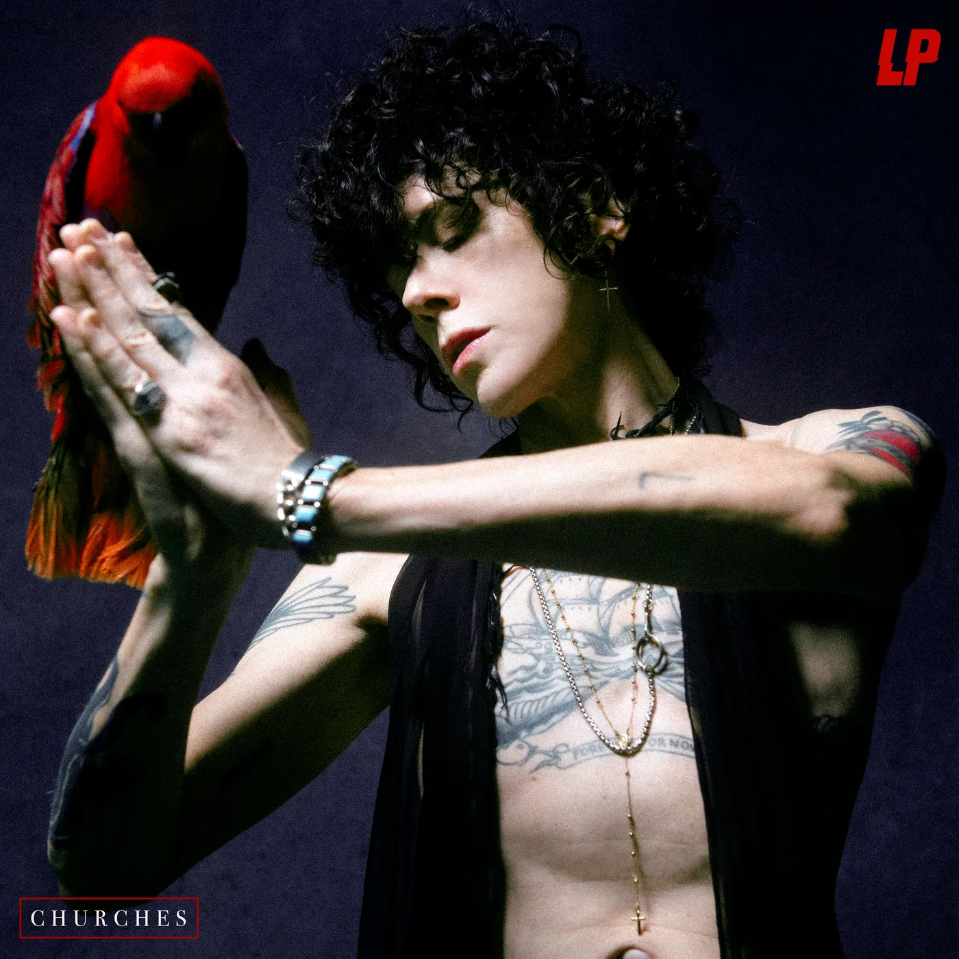 LP CHURCHES CD
