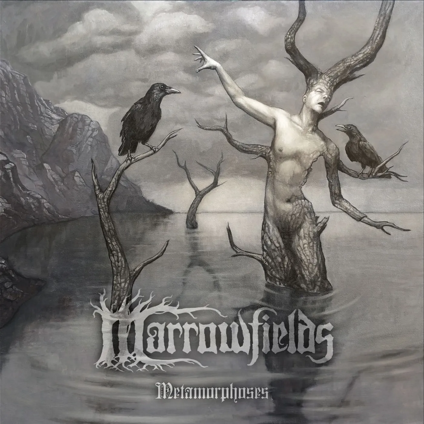 Marrowfields METAMORPHOSES CD