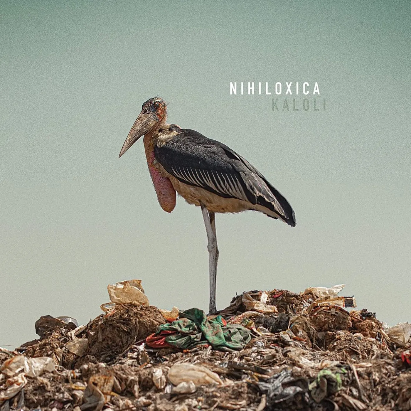 Nihiloxica KALOLI CD