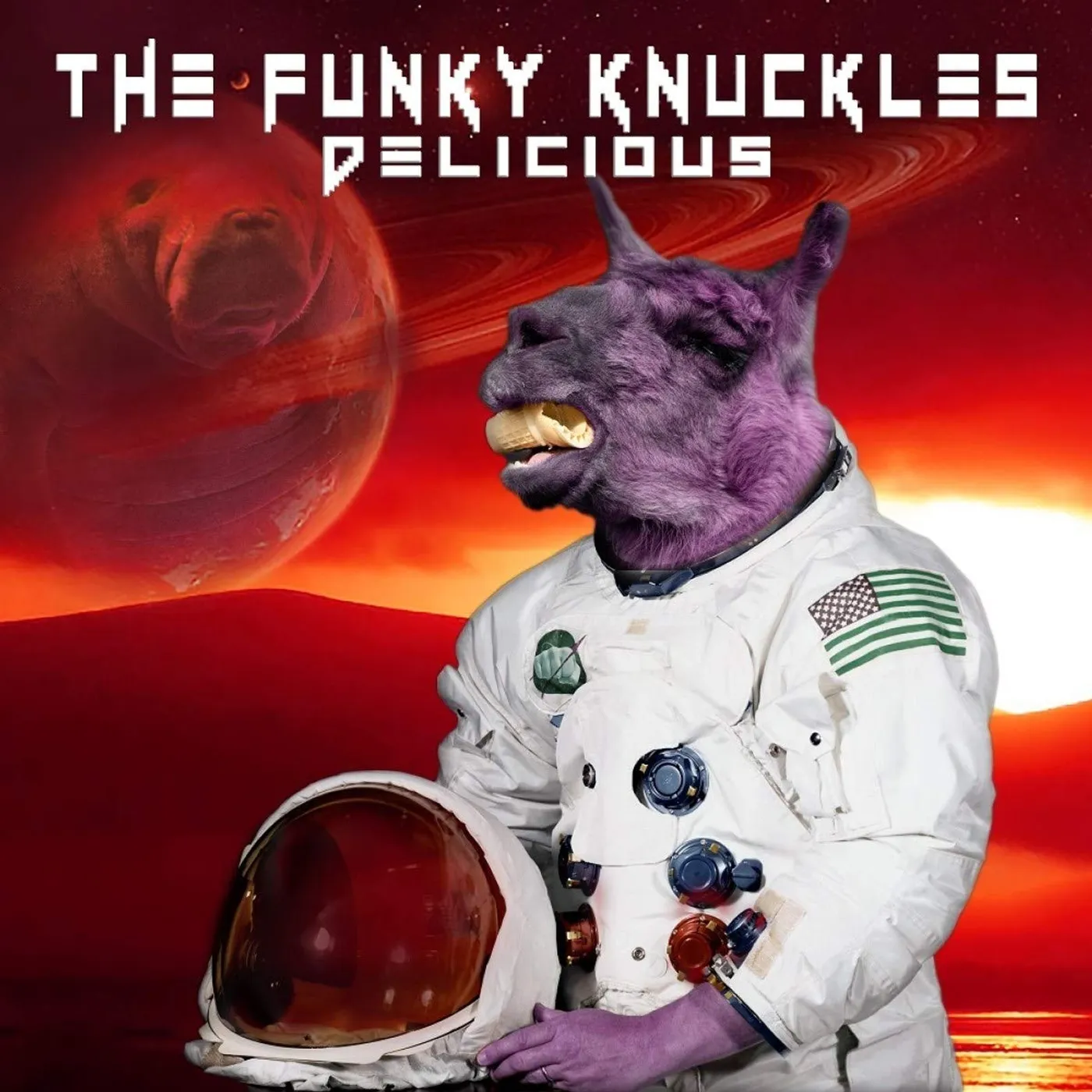The Funky Knuckles Delicious CD