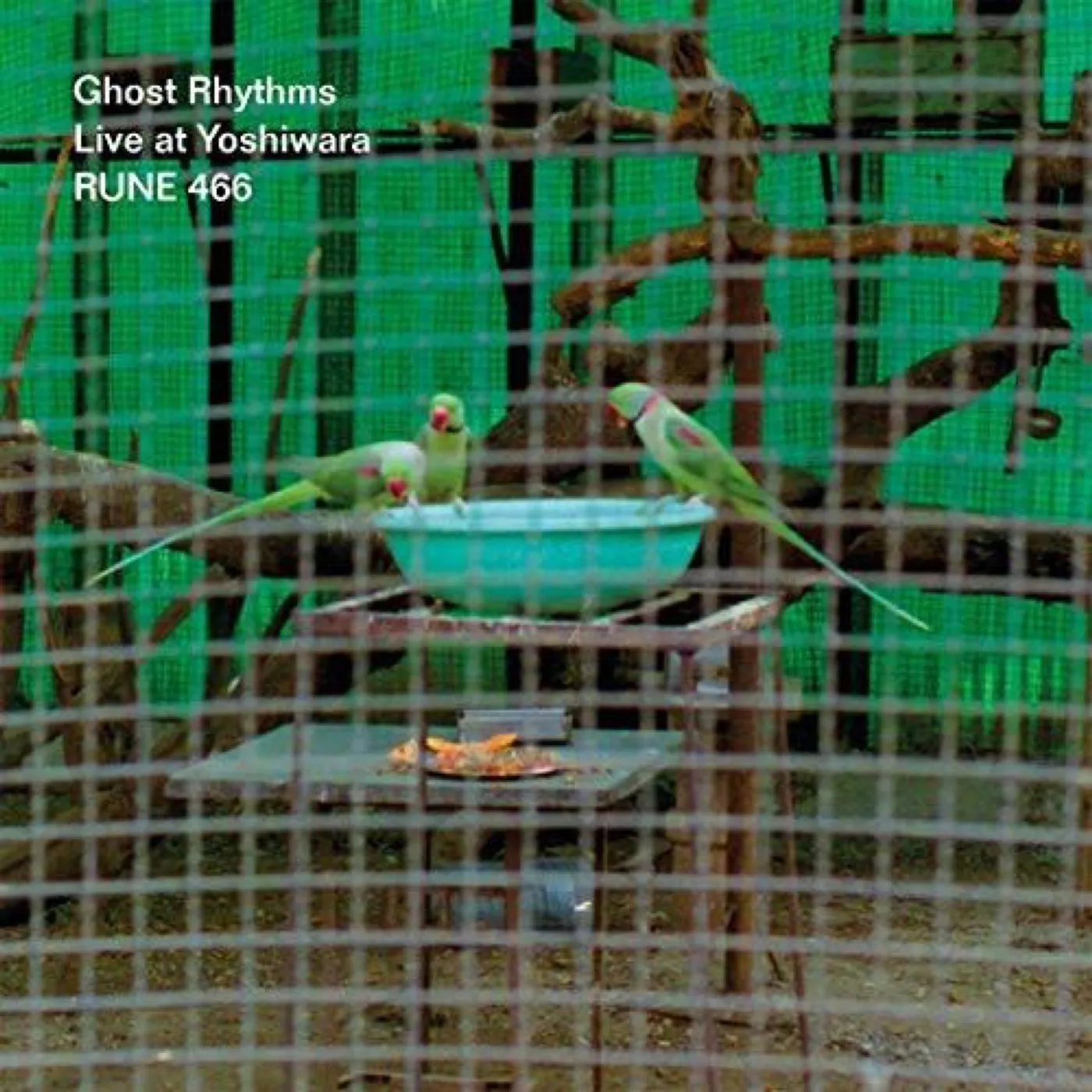 Ghost Rhythms LIVE AT YOSHIWARA CD