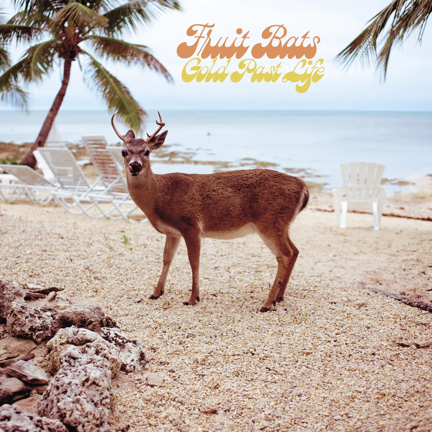 Fruit Bats GOLD PAST LIFE CD