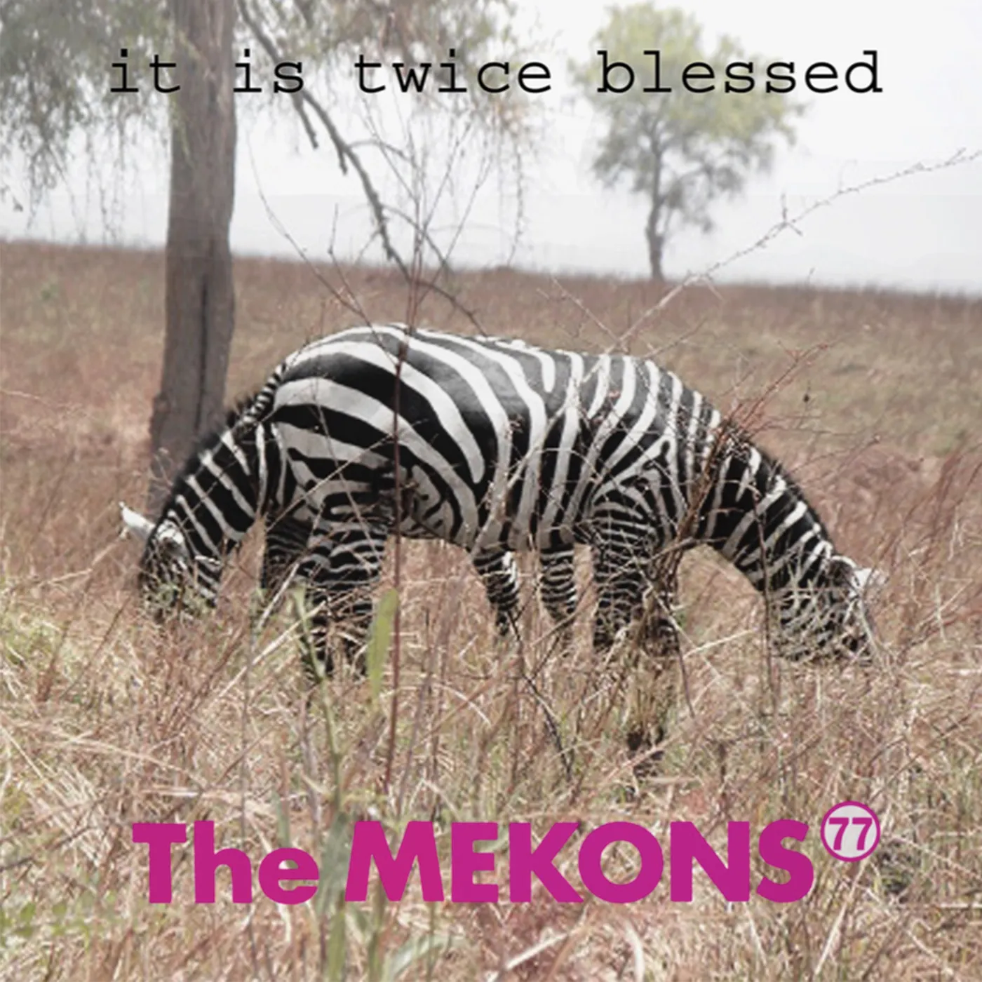 The Mekons 77 It Is Twice Blessed CD