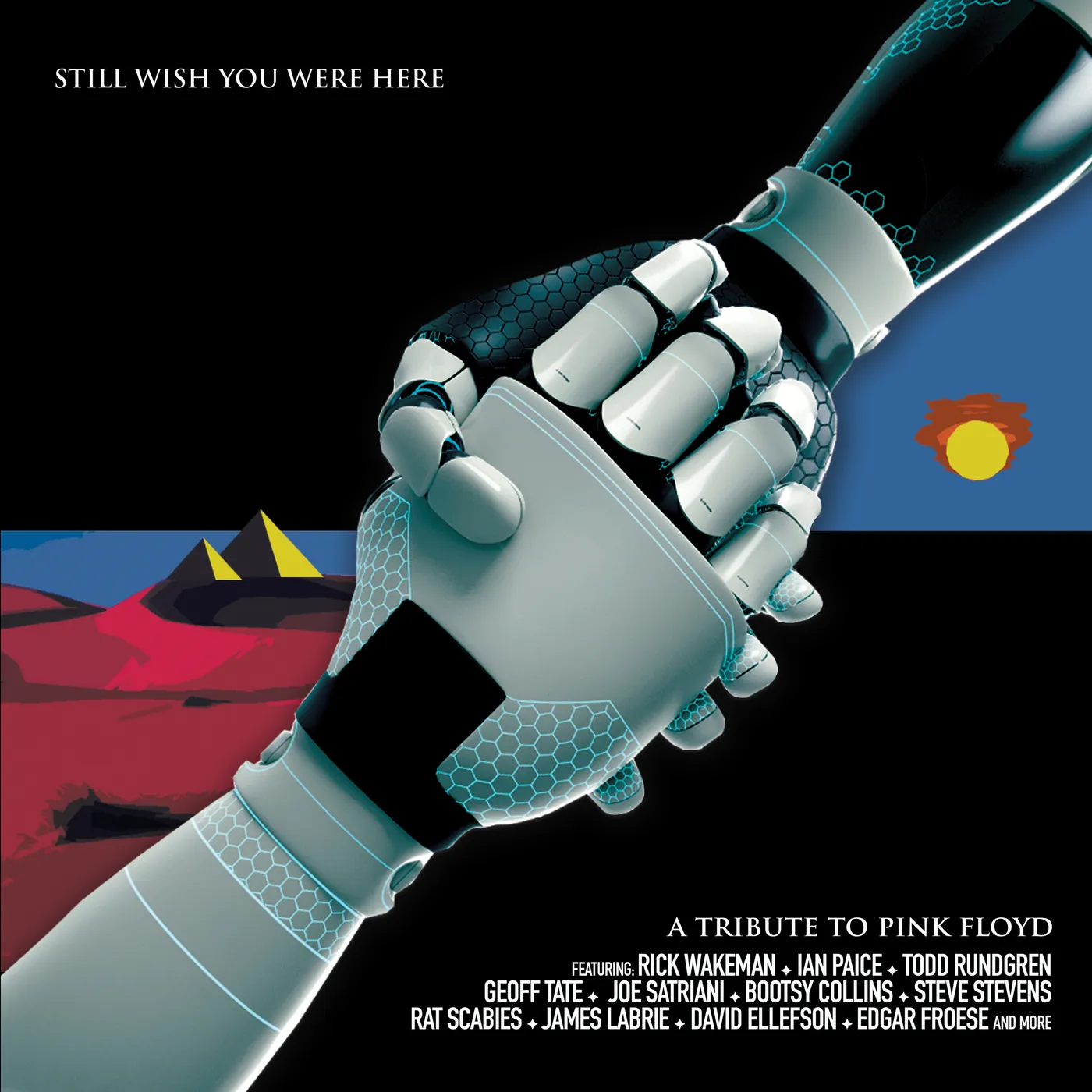 PINK FLOYD TRIBUTE: STILL WISH YOU WERE HERE / VAR CD