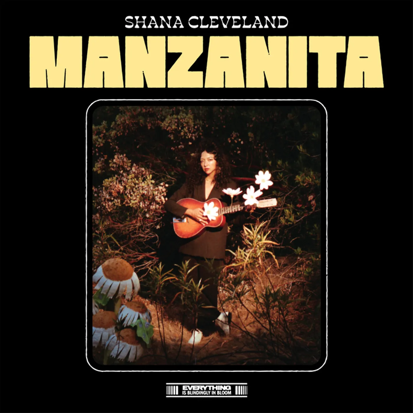 Shana Cleveland Manzanita CD