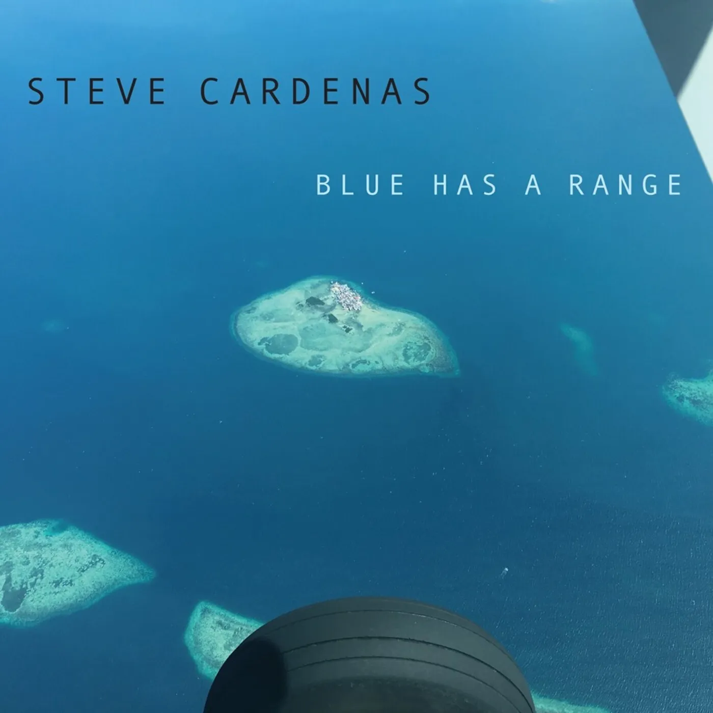 Steve Cardenas BLUE HAS A RANGE CD