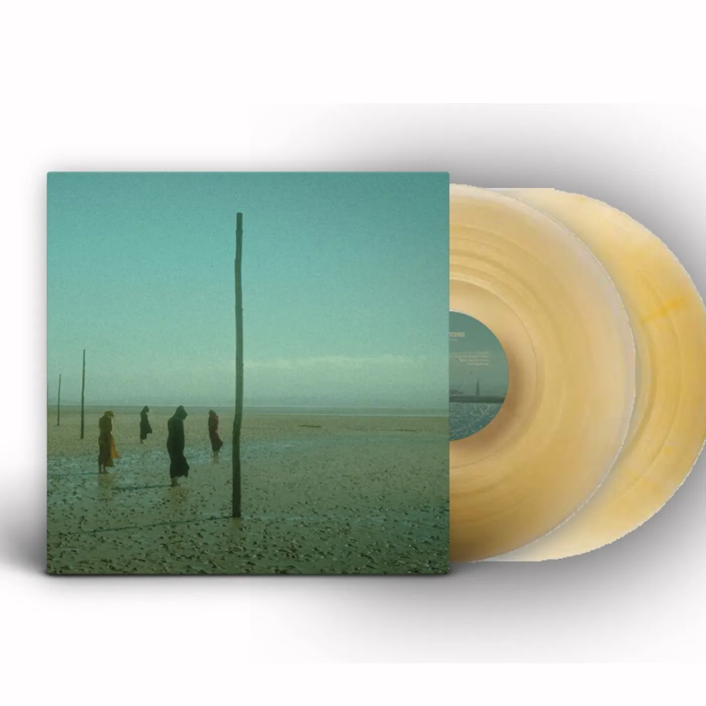 Devils Witches In All Her Forms Gold/Clear Marbled Vinyl Record