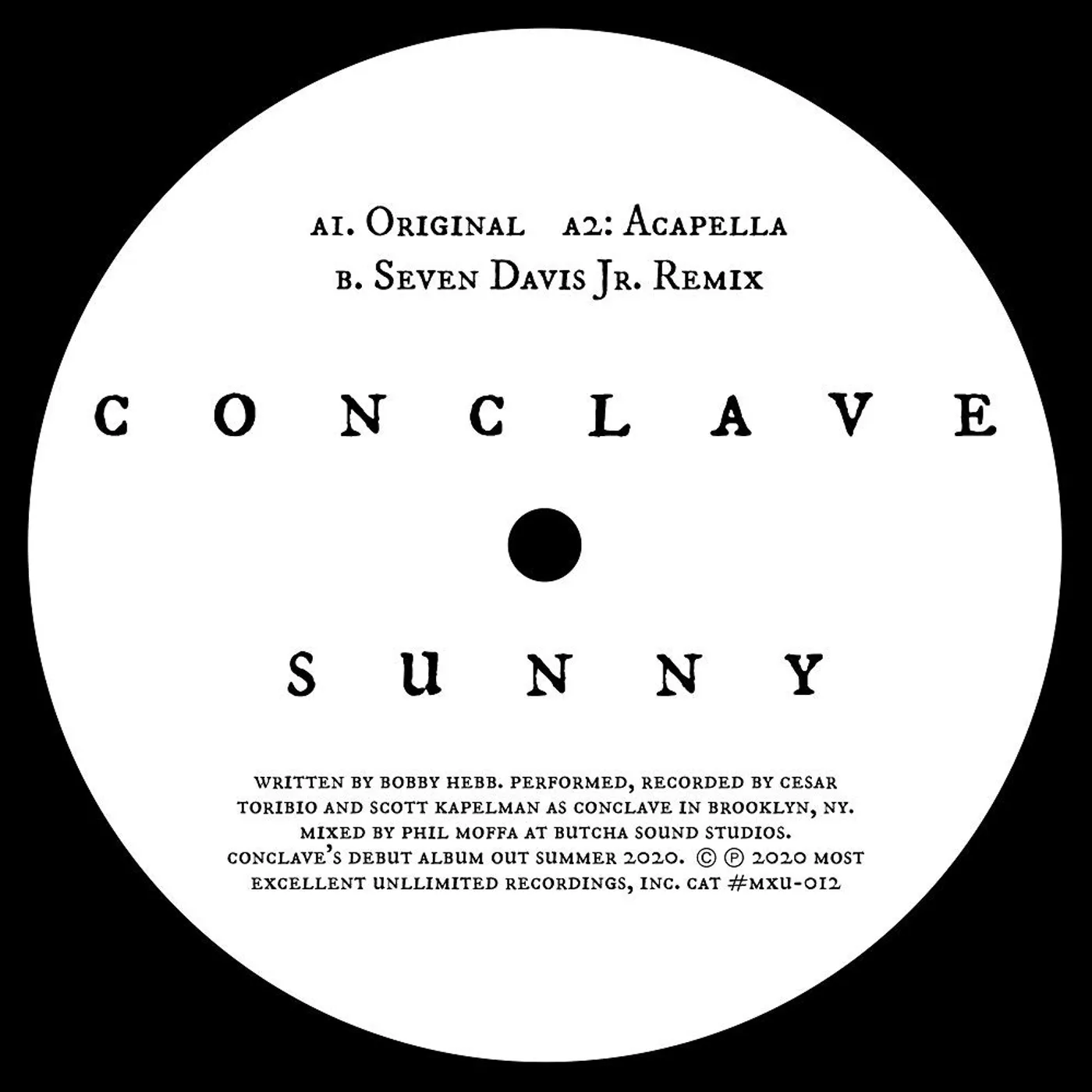 Conclave Sunny Vinyl Record