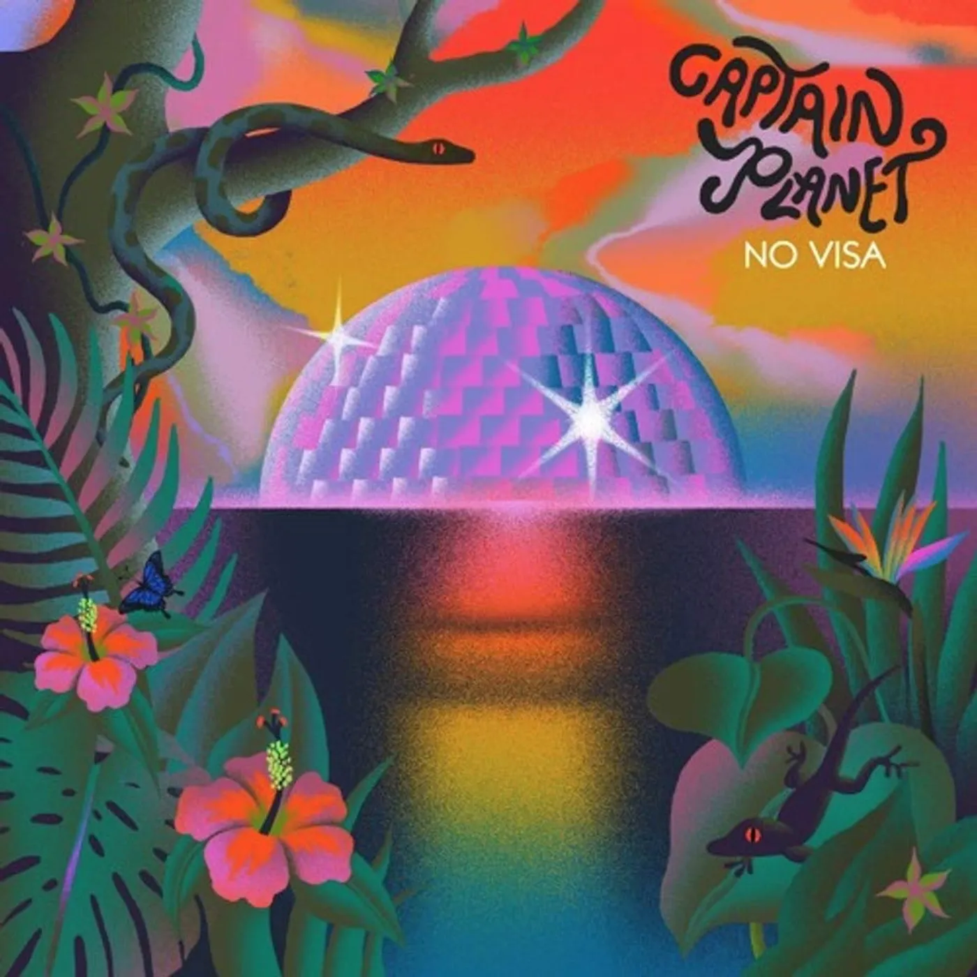 Captain Planet No Visa Vinyl Record