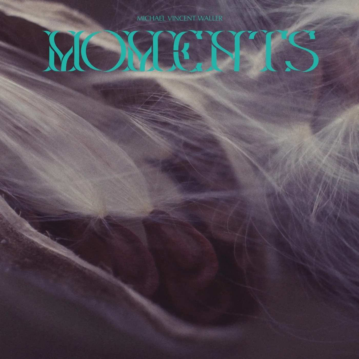 Michael Vincent Waller Moments Vinyl Record