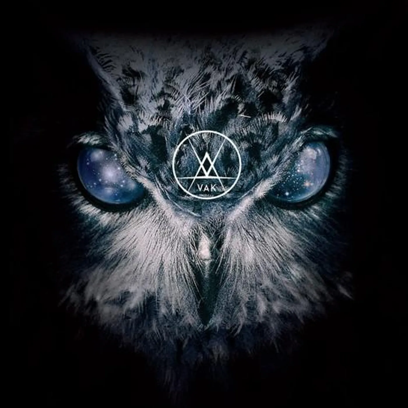 VAK Argument With The Disease Vinyl Record