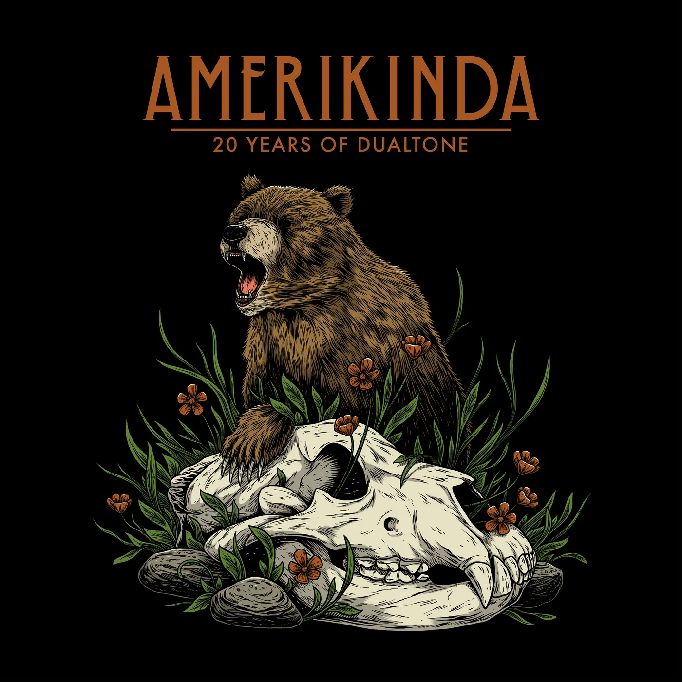 Various Artists  AMERIKINDA: 20 YEARS OF DUALTONE (2LP) Vinyl Record
