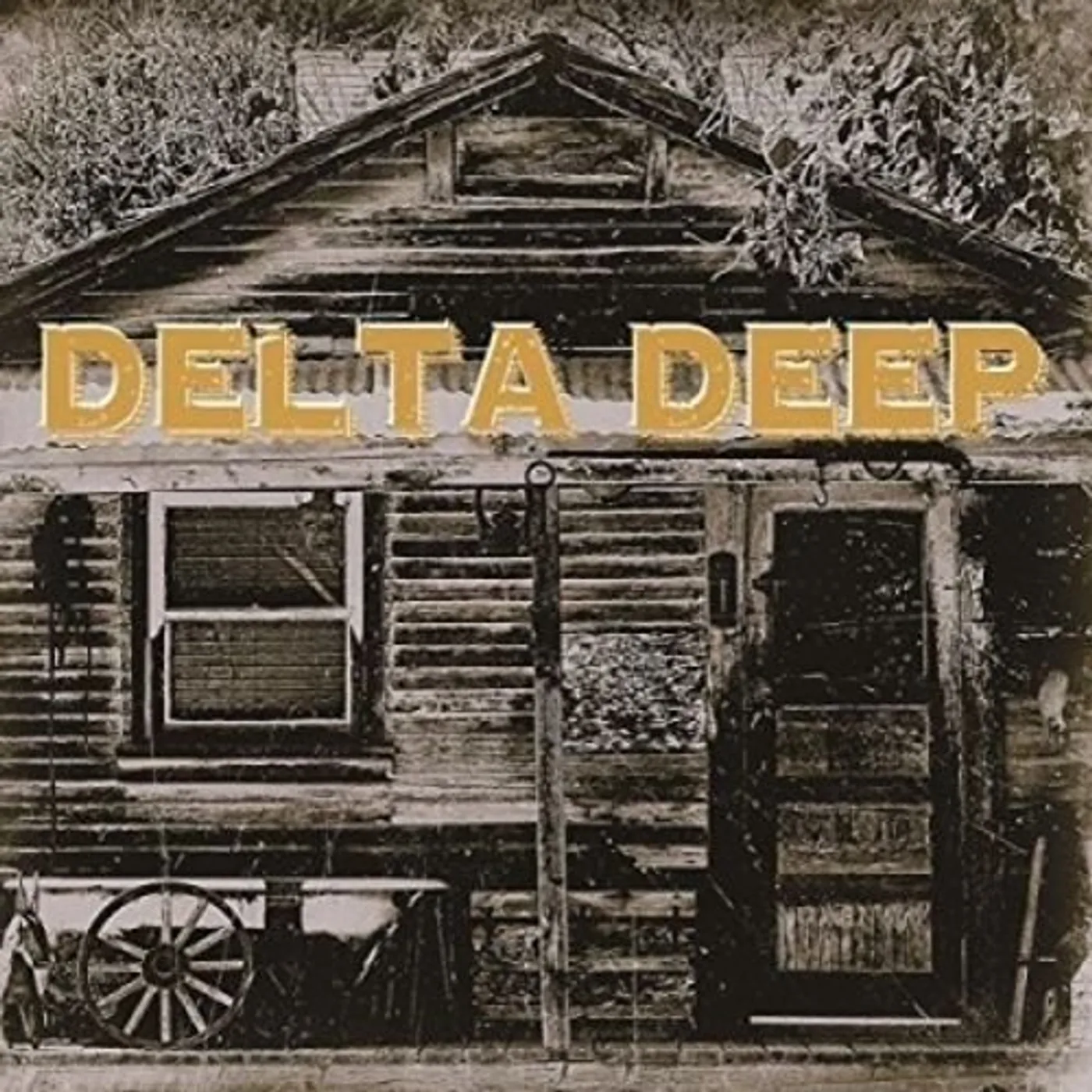 Delta Deep Vinyl Record