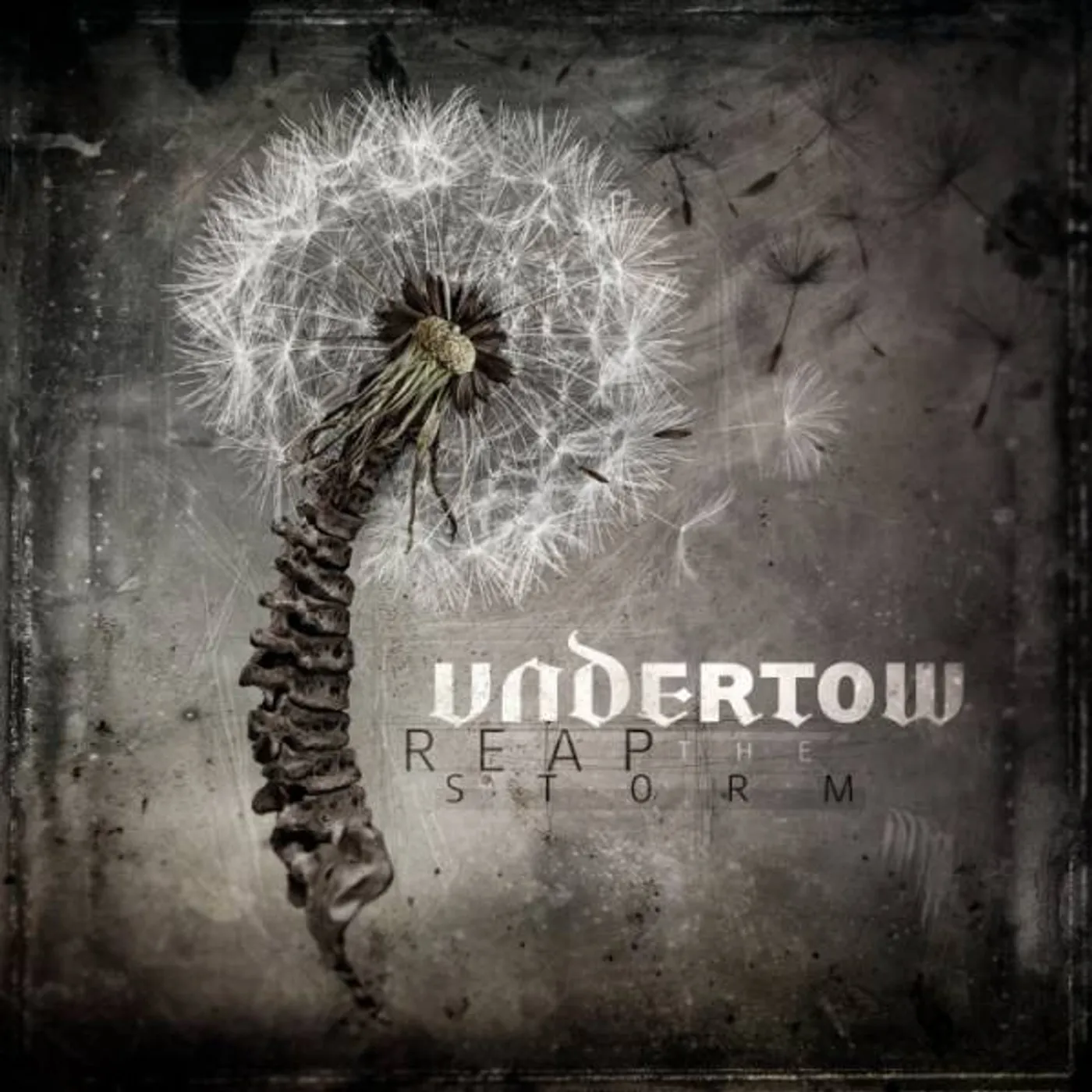Undertow Reap The Storm Vinyl Record