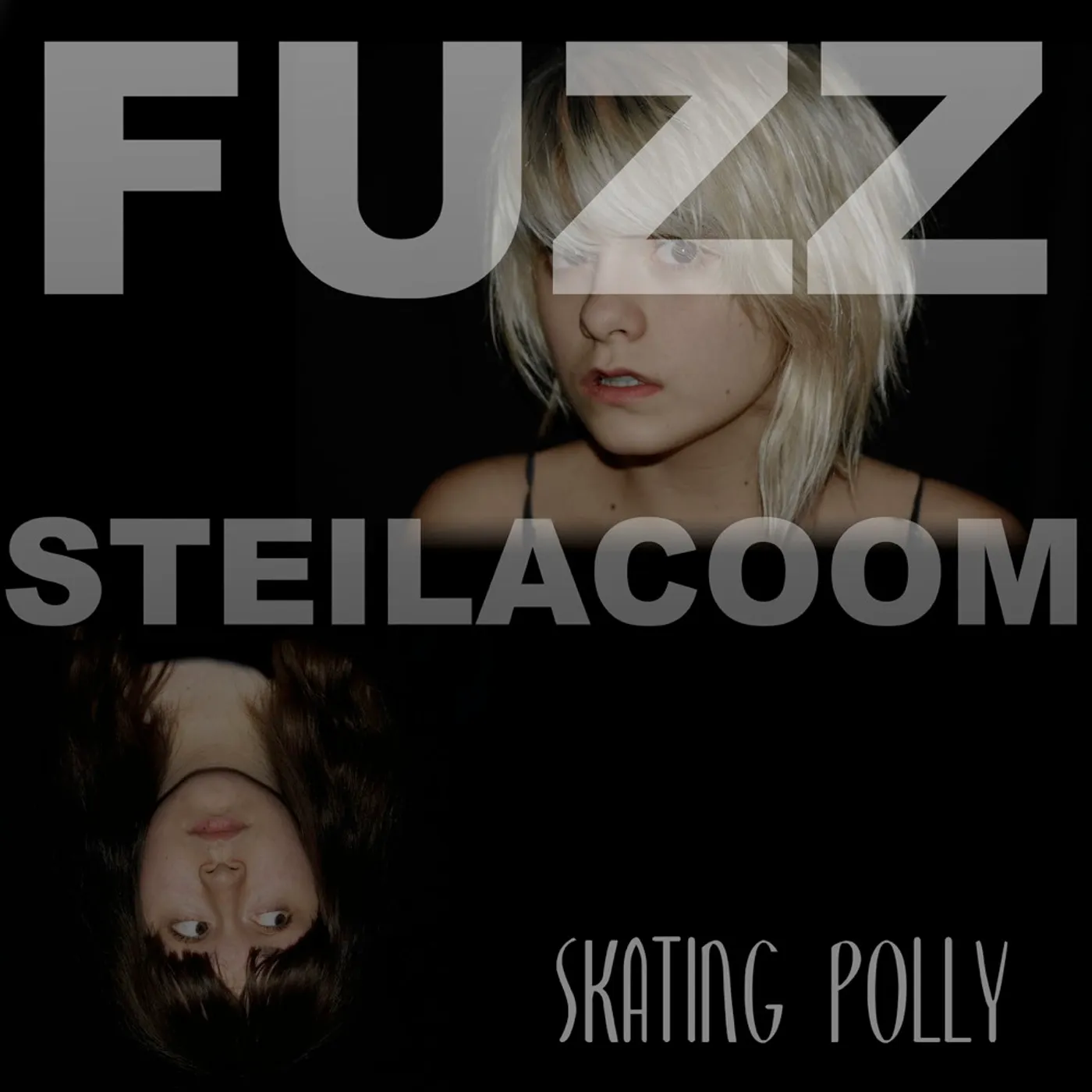 Skating Polly Fuzz Steilacoom Vinyl Record