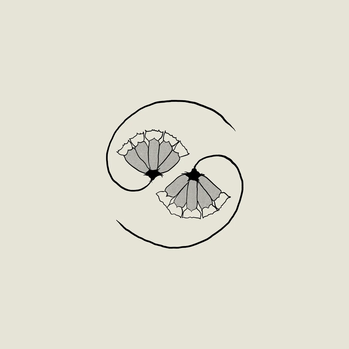 Godspeed You! Black Emperor G_D'S PEE AT STATE'S END! (180G/LP/10INCH) Vinyl Record