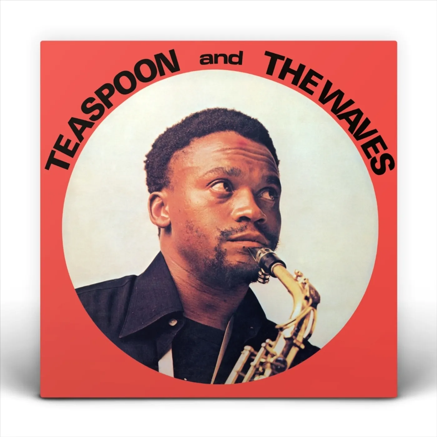 Teaspoon & The Waves Vinyl Record