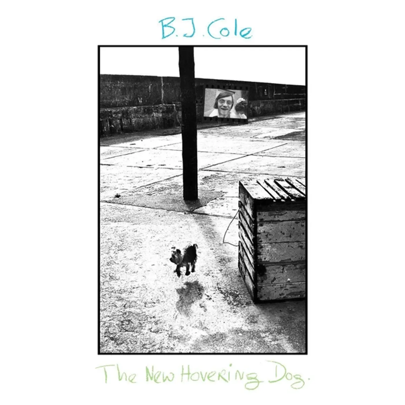 BJ Cole New Hovering Dog Vinyl Record