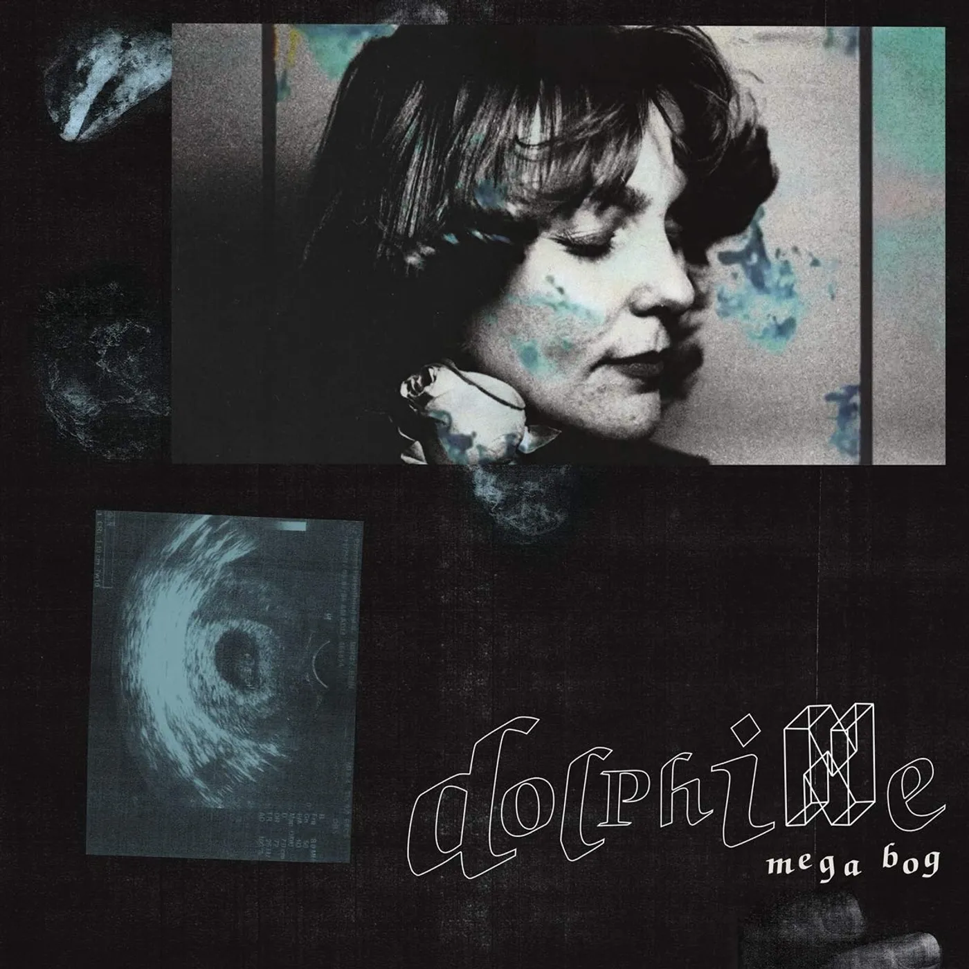 Mega Bog Dolphine Vinyl Record