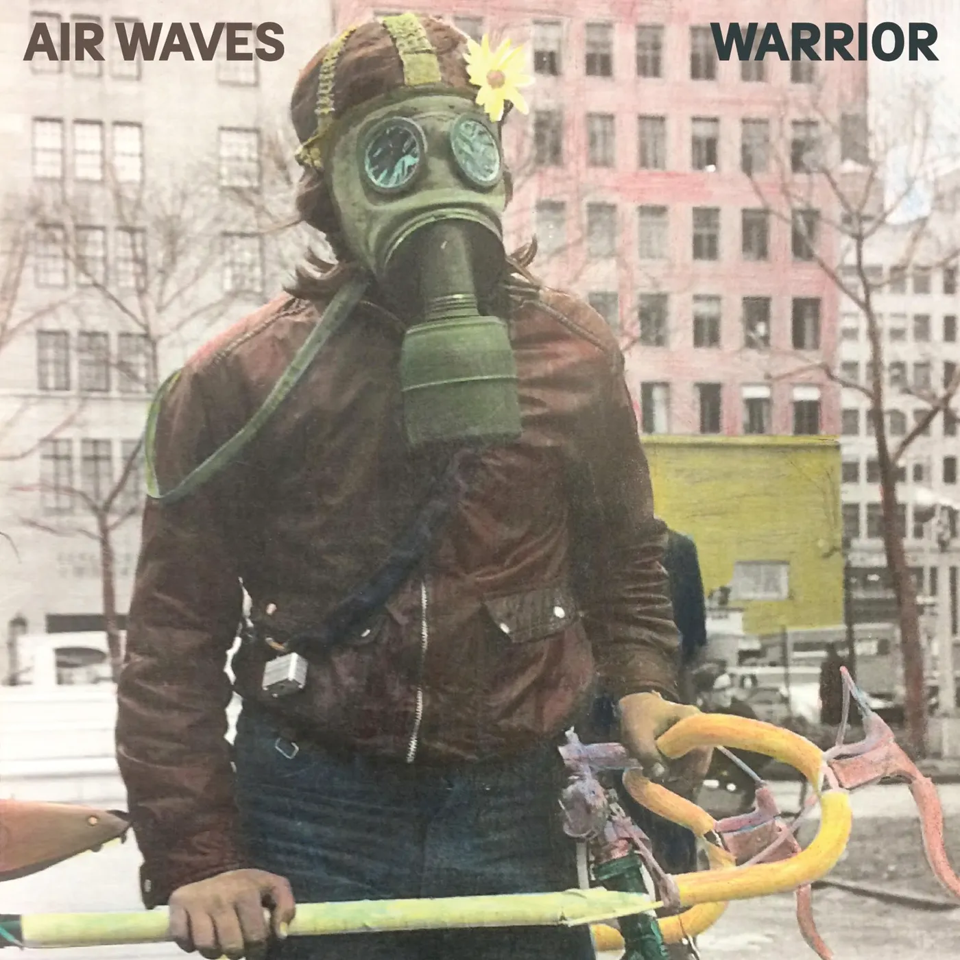 Air Waves Warrior Vinyl Record