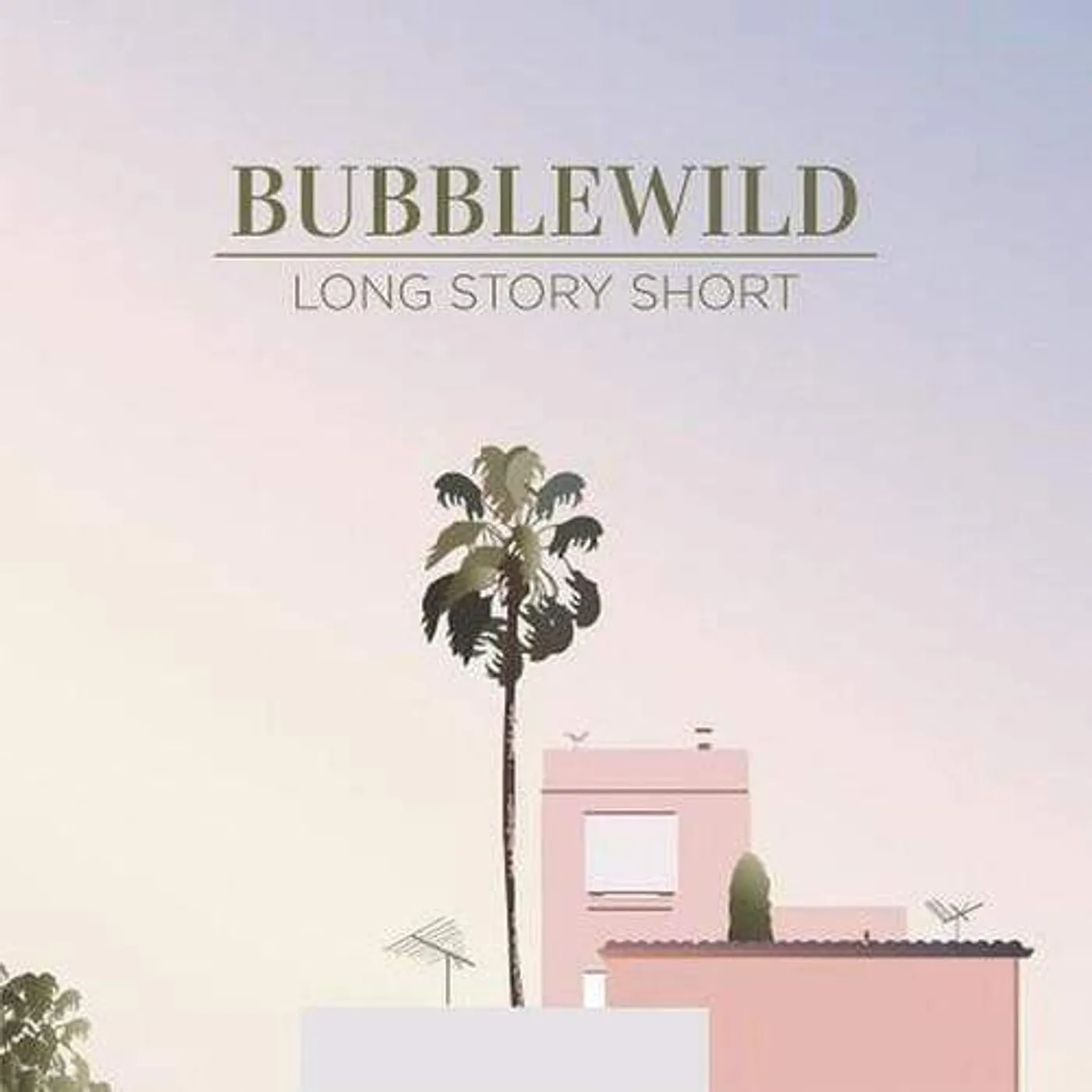 Bubblewild Long Story Short Vinyl Record