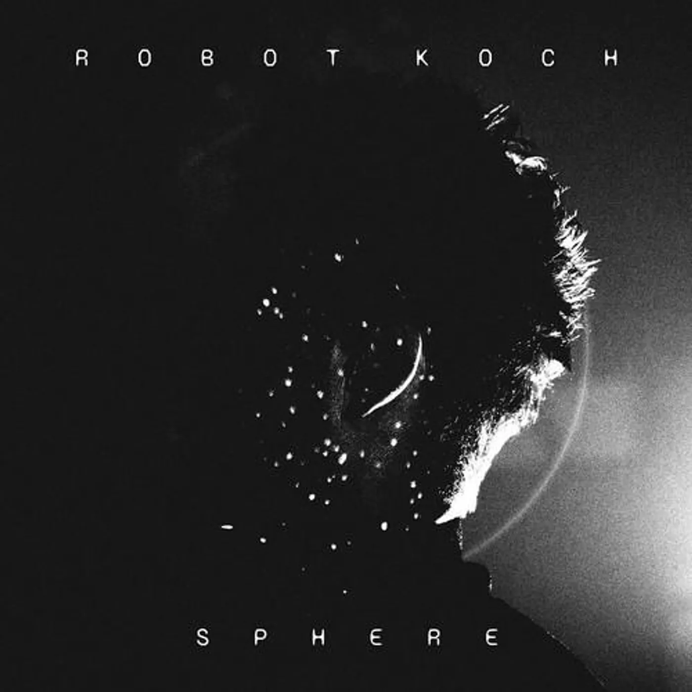 Robot Koch Sphere Vinyl Record