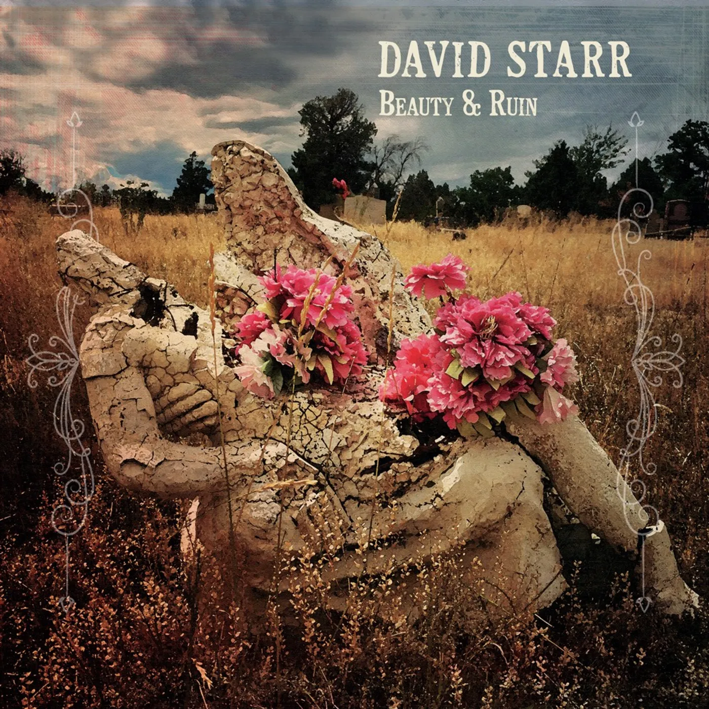 David Starr Beauty & Ruin Vinyl Record