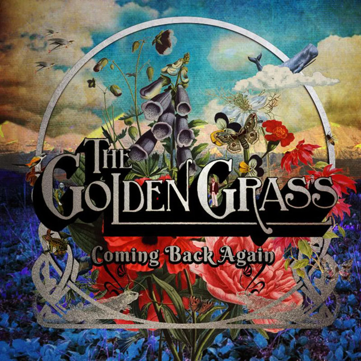 Golden Grass Coming Back Again Vinyl Record