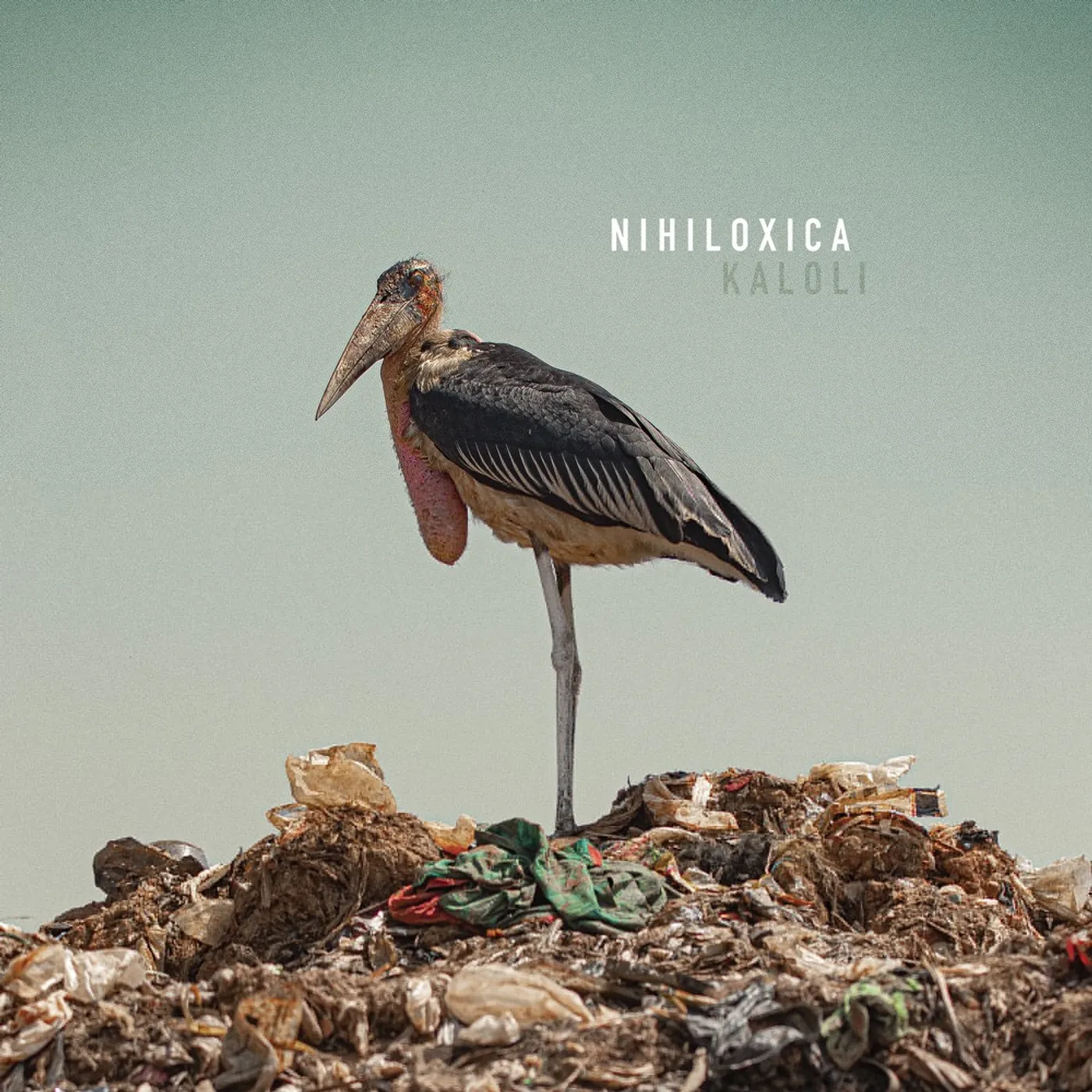 Nihiloxica KALOLI (2LP) (IMPORT) Vinyl Record