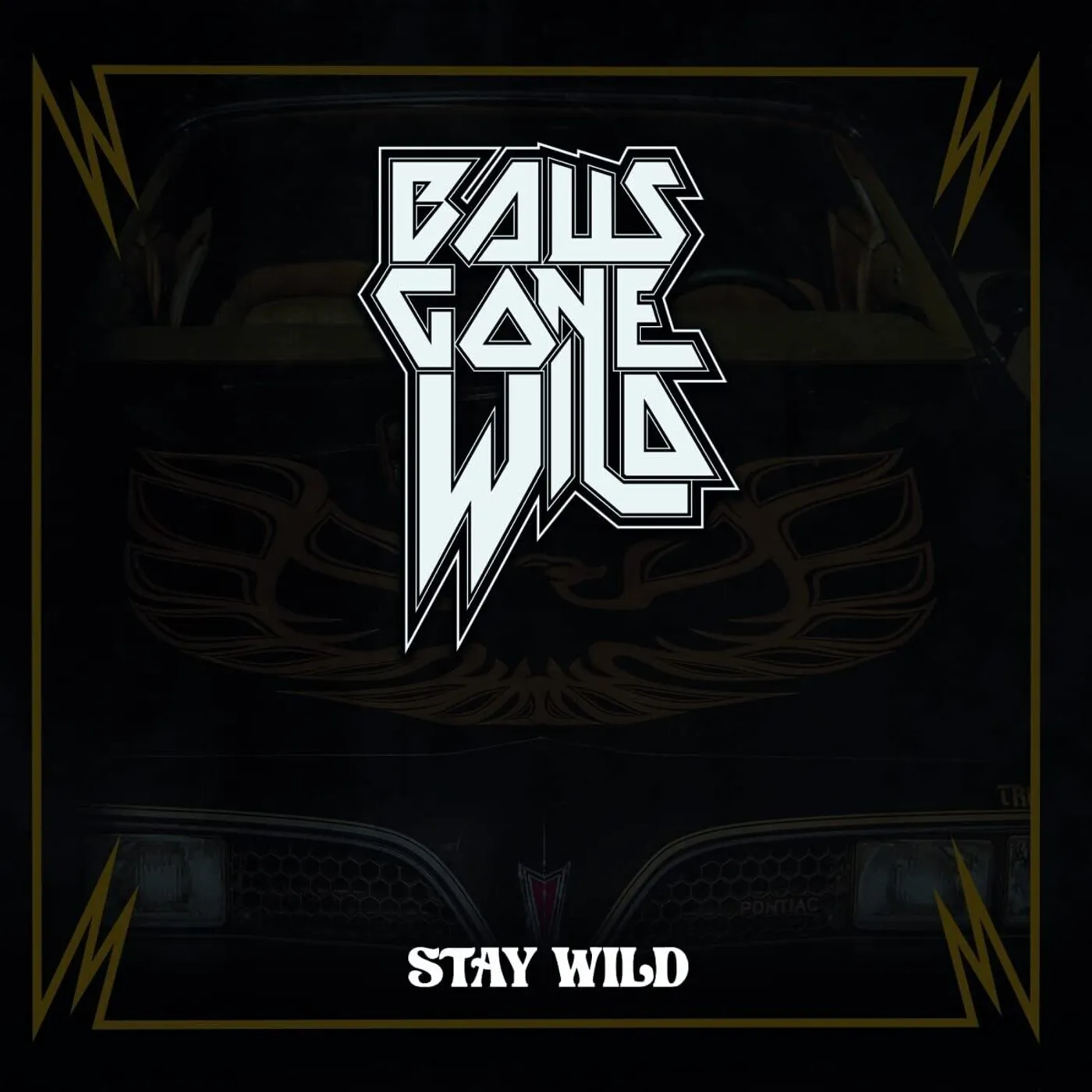 Balls Gone Wild Stay Wild Vinyl Record