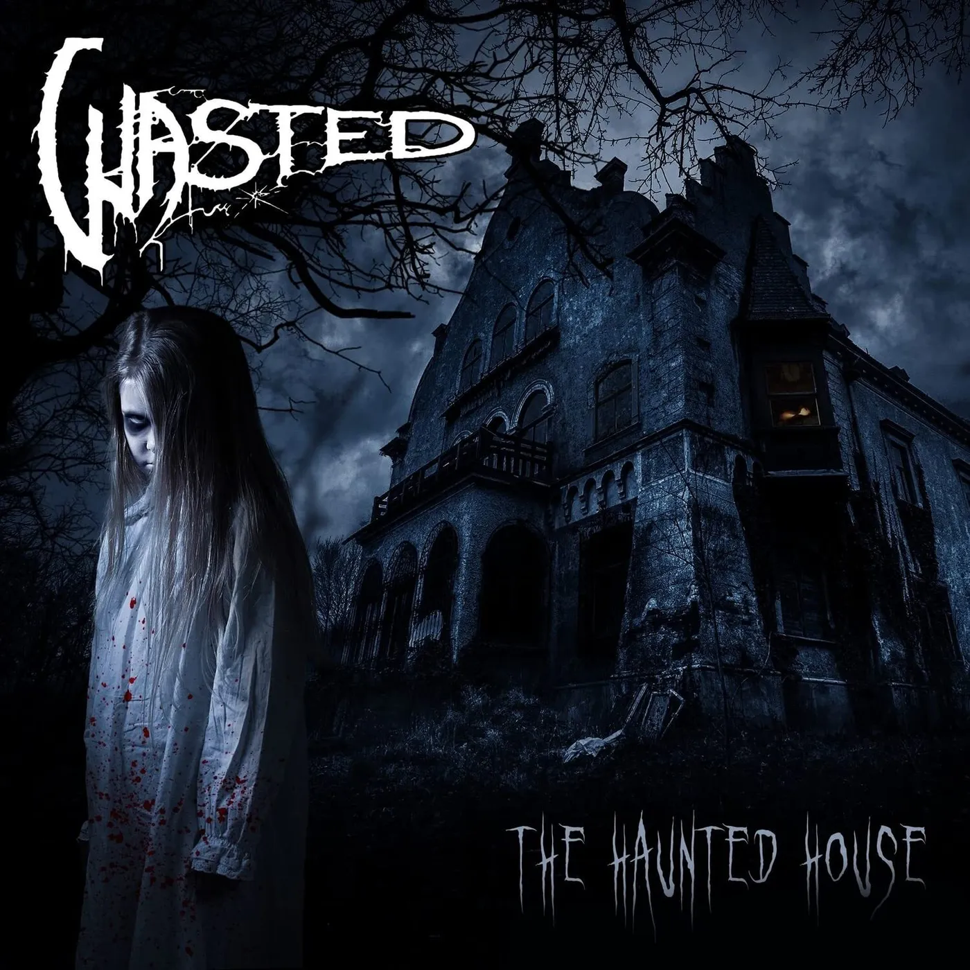 Wasted Haunted House Vinyl Record