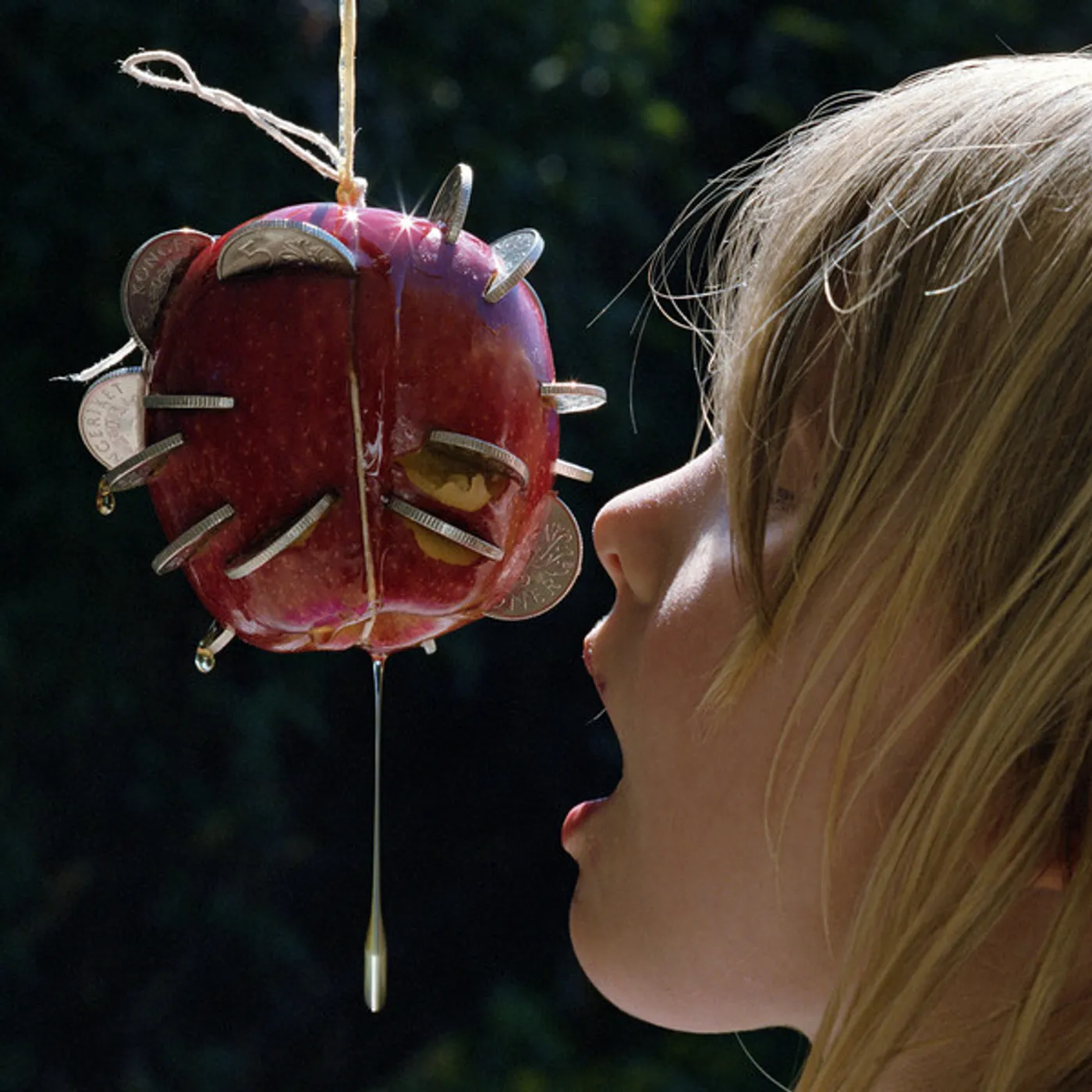 Puce Mary Drought Vinyl Record