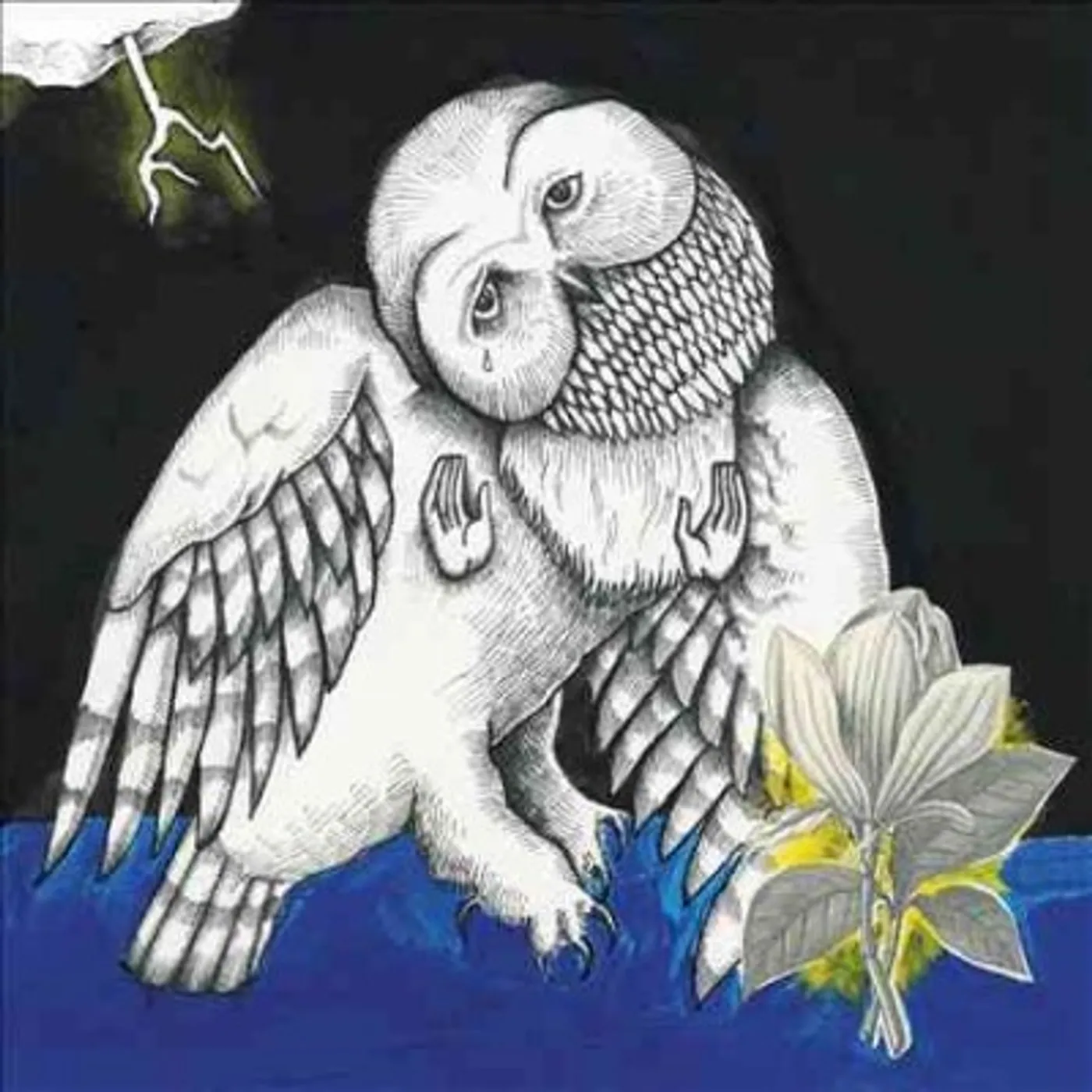 Songs: Ohia MAGNOLIA ELECTRIC COMPANY CO Vinyl Record