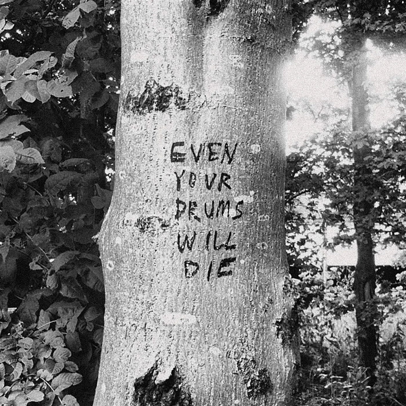 Richard Swift EVEN YOUR DRUMS WILL DIE: LIVE AT PENDARVIS FARM Vinyl Record