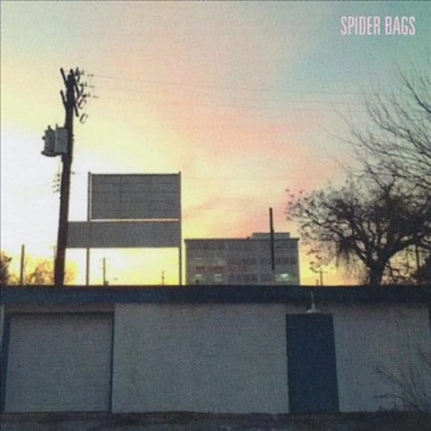Spider Bags Someday Everything Will Be Fine Vinyl Record