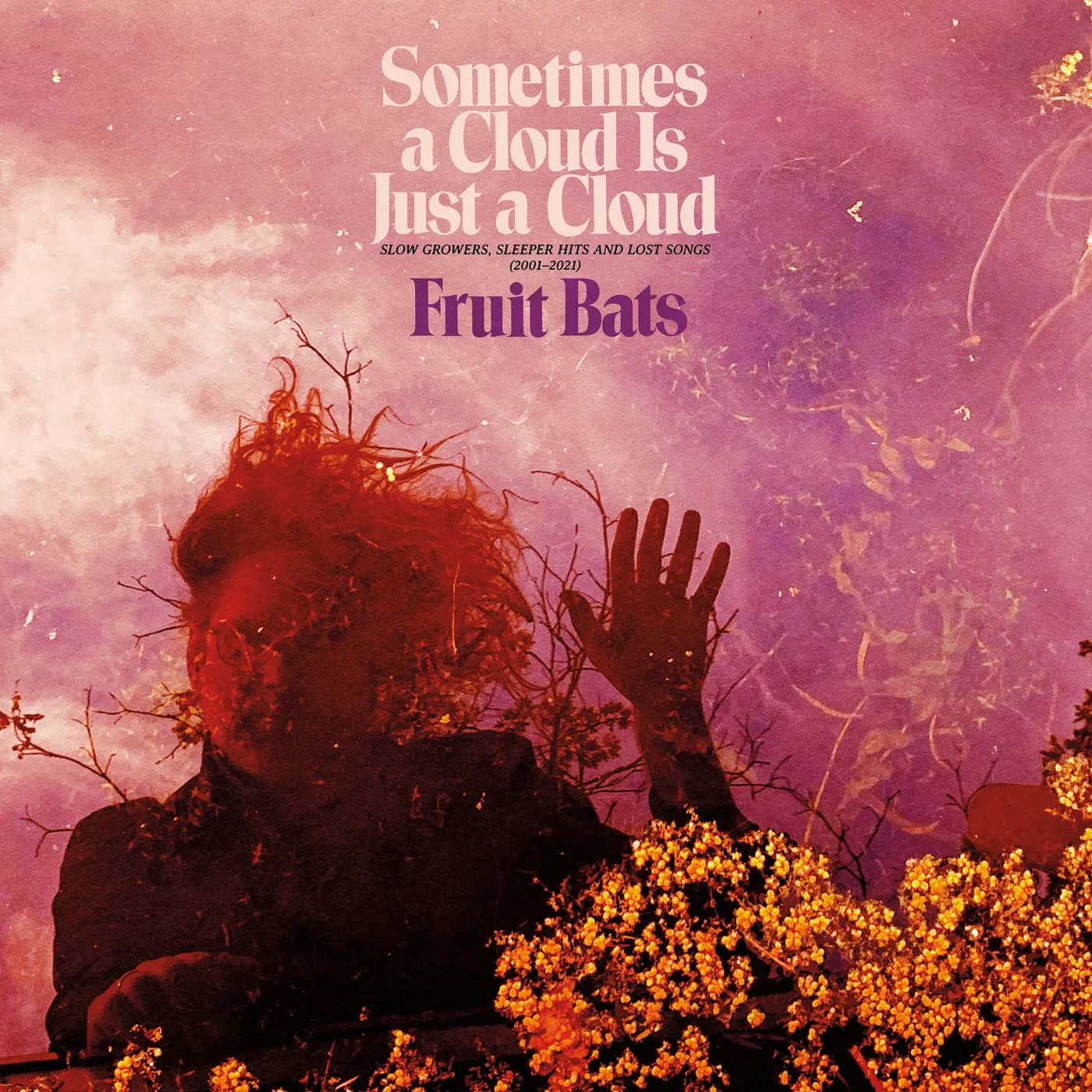 Fruit Bats SOMETIMES A CLOUD IS JUST A CLOUD: SLOW GROWERS Vinyl Record