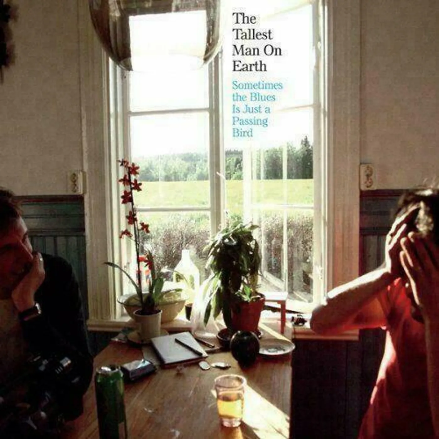 The Tallest Man On Earth Sometimes The Blues Is Just A Passing Bird Vinyl Record