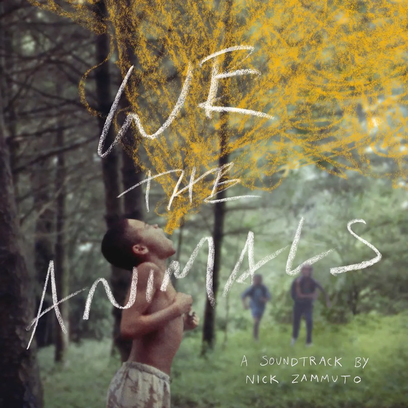 Nick Zammuto WE THE ANIMALS (COLORED VINYL) Vinyl Record