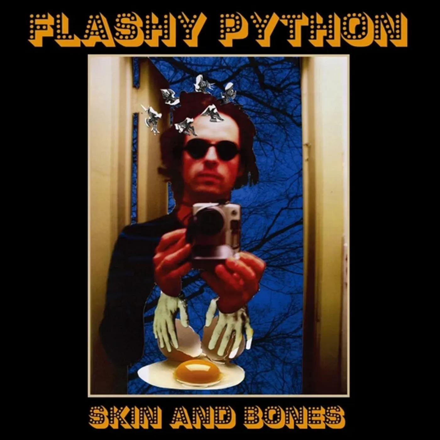 Flashy Python Skin & Bones Vinyl Record