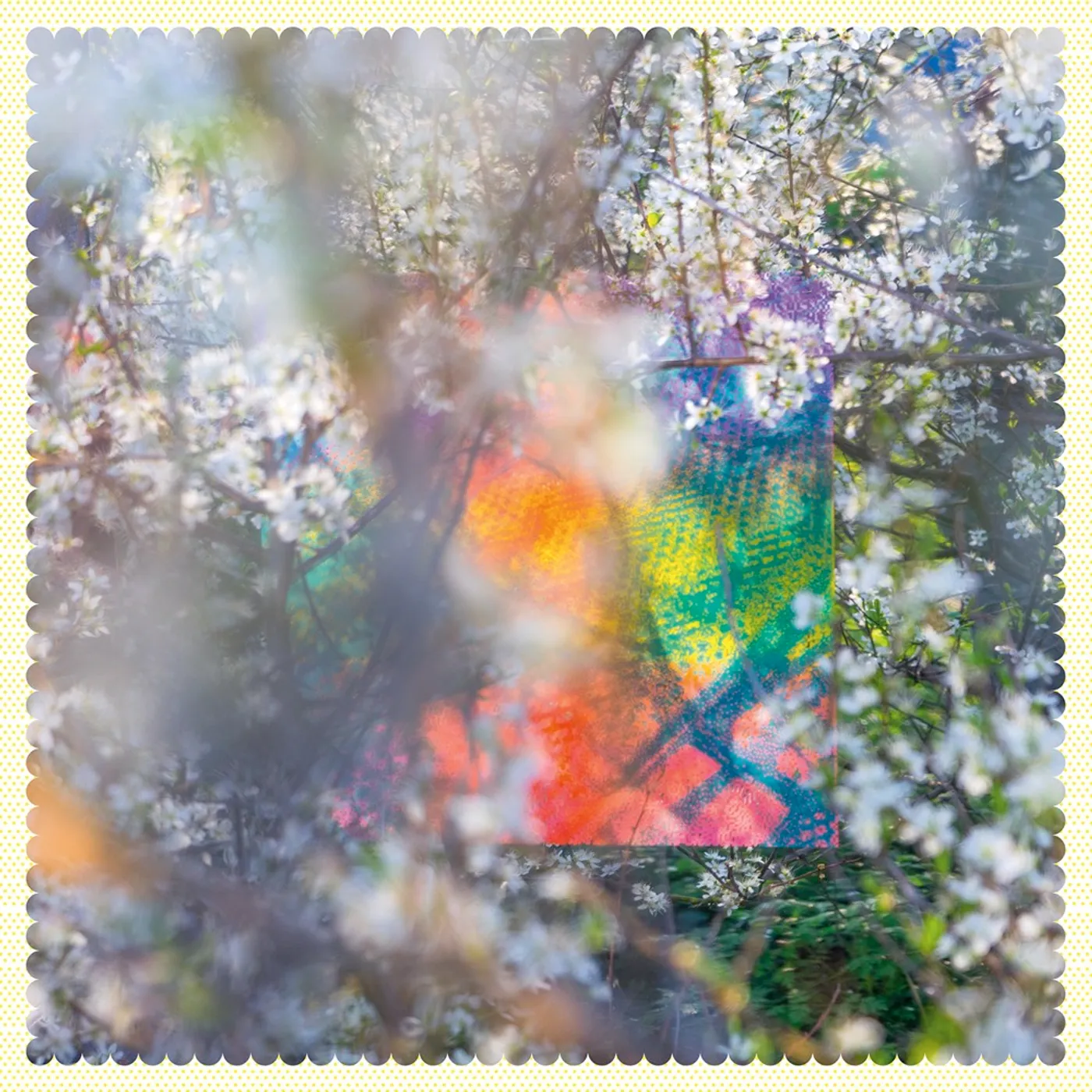 Four Tet Sixteen Oceans Vinyl Record