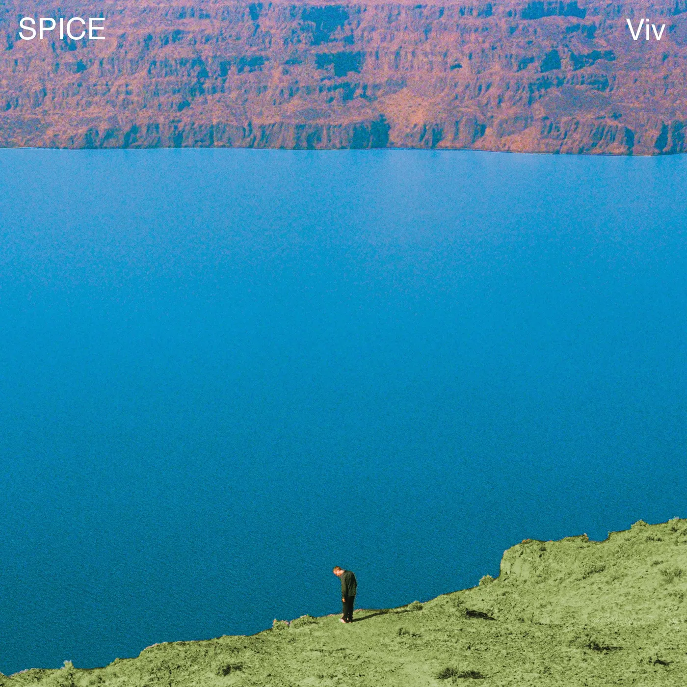 SPICE Viv Vinyl Record