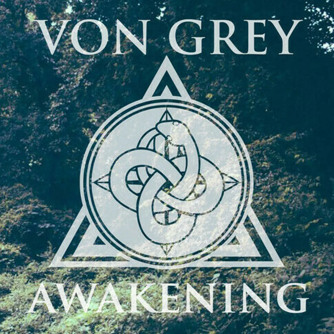 Von Grey Awakening Vinyl Record