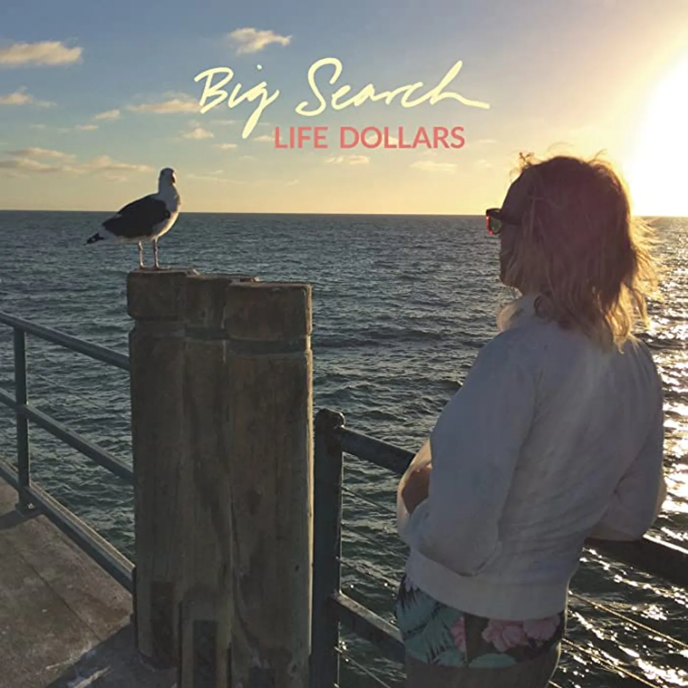 Big Search Life Dollars Vinyl Record