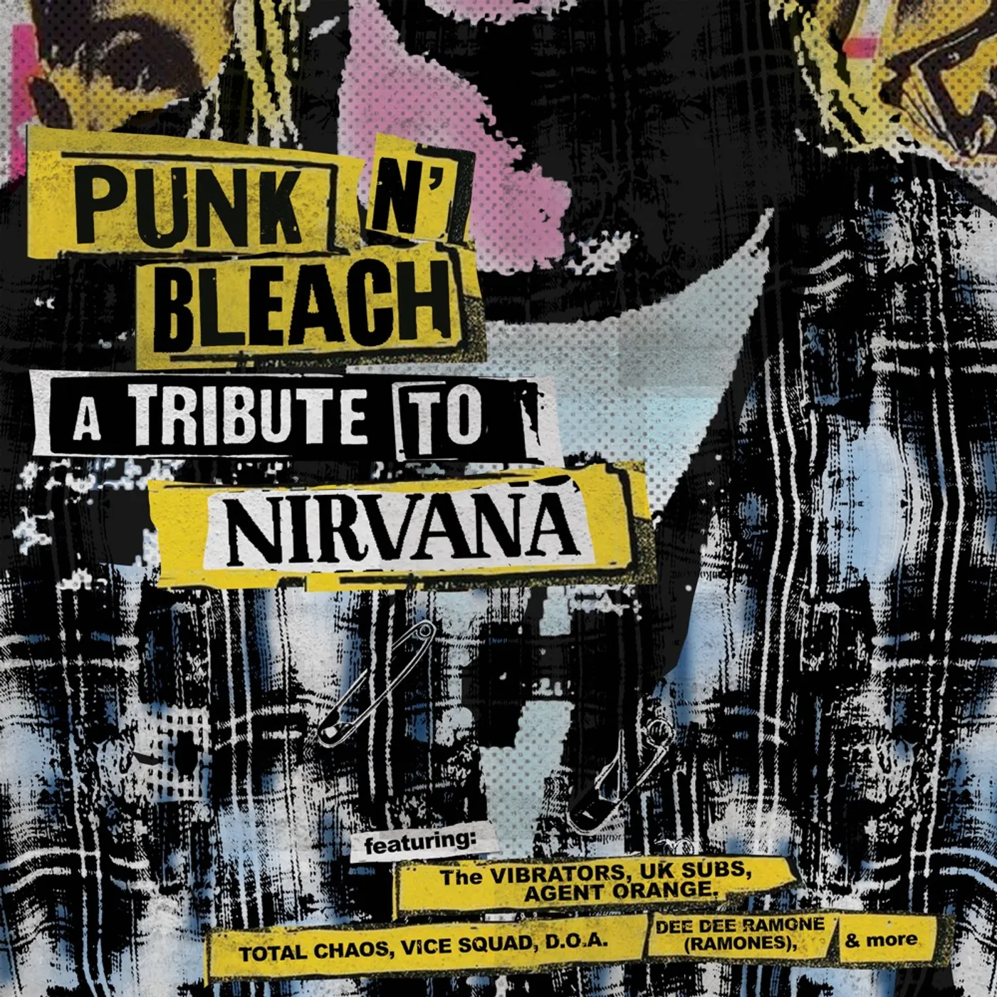 PUNK N' BLEACH - A PUNK TRIBUTE TO NIRVANA / VAR Vinyl Record